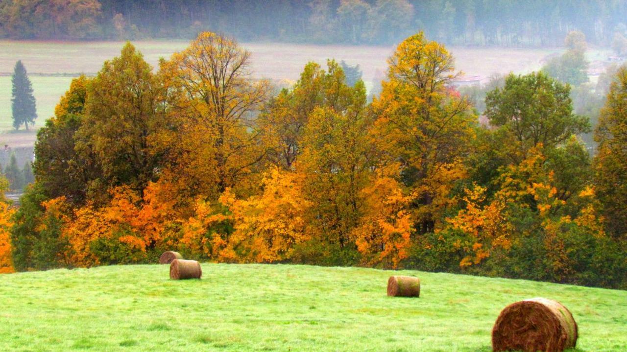 Vila Agro Na Gorce Barcinek Pokoj fotografie